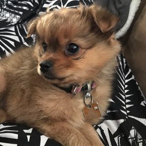 Meet your Posher, Lana